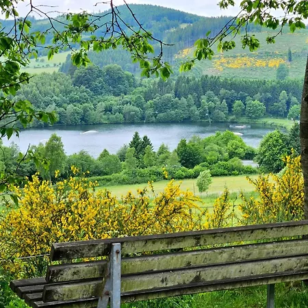 Apartament Gipfelpanorama Mit Berg- Und Seeblick, Boxspringbett Mit Ausfahrbarem Tv Winterberg