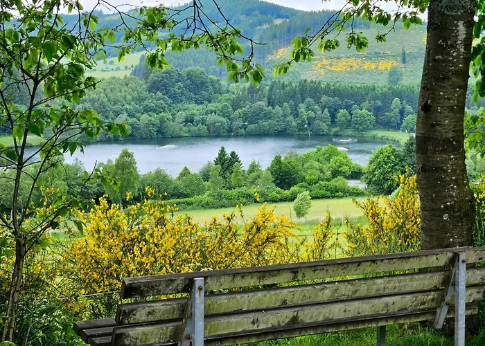 Apartman Gipfelpanorama Mit Berg- Und Seeblick, Boxspringbett Mit Ausfahrbarem Tv Winterberg